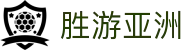 胜游亚洲_胜游亚洲体育_有梦你就来